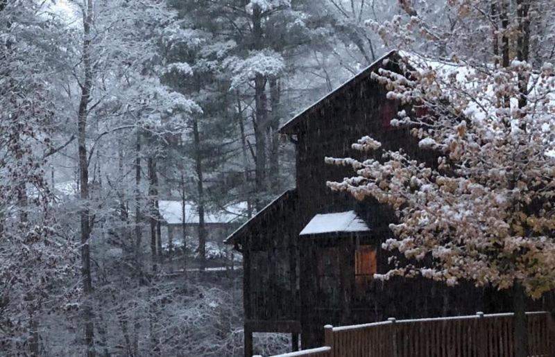 Вілла Laughing Bear Cabin Елліджей Екстер'єр фото